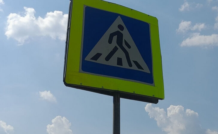   В Курской области 23 пешехода нарушили ПДД