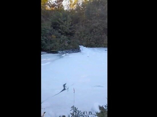     кадр из видео группы "Алексин.Слухи"