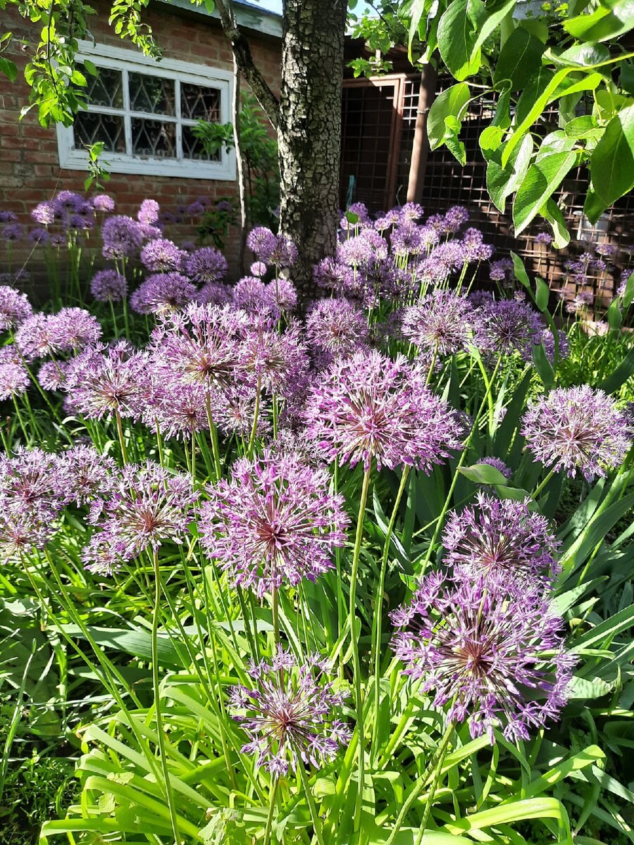 Из личных архивов