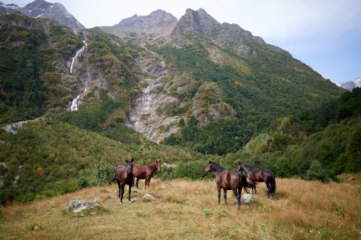 Вид с поляны Таймази