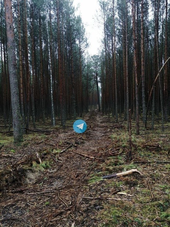     Фото: "Я из Томска"