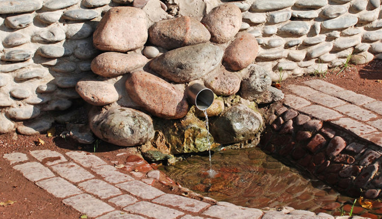 Фото: из открытых источников