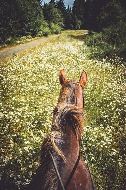 Из свободного доступа.