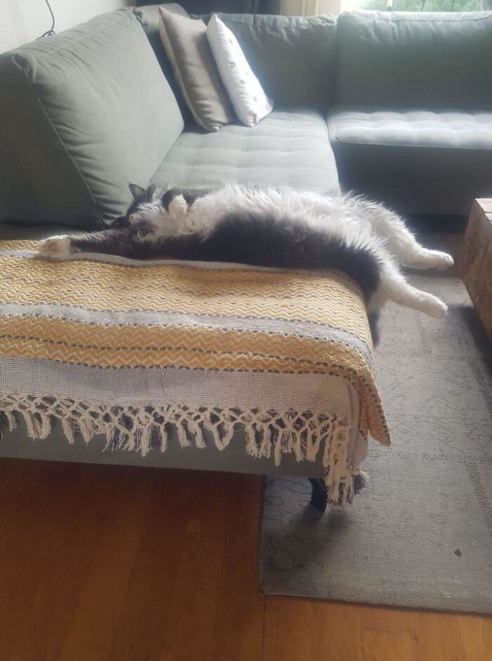 Фото из интернета