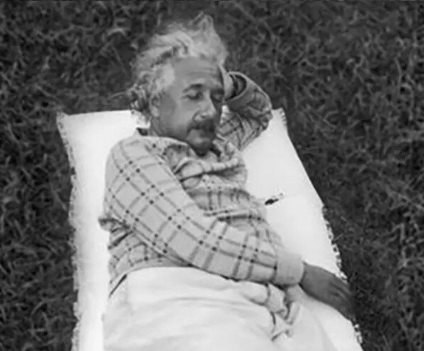    Гений спит Администратор