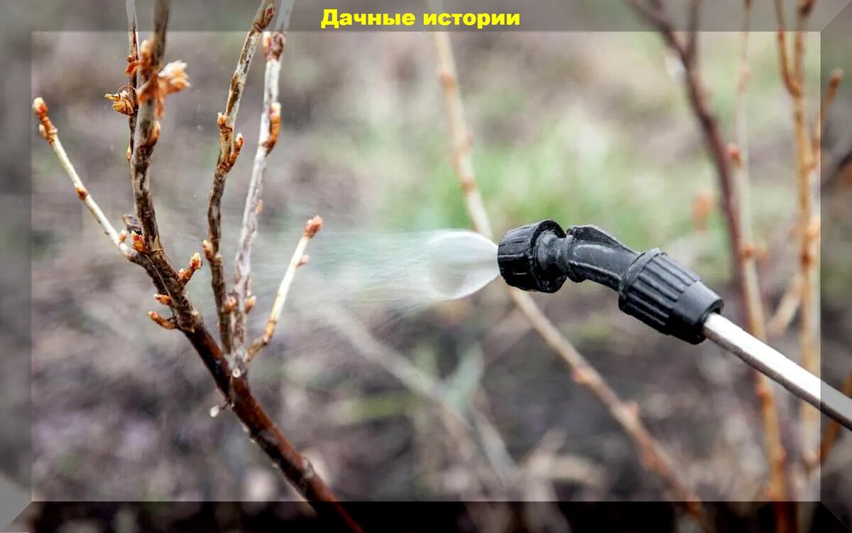 https://vk.com/photo-159774511_457255965