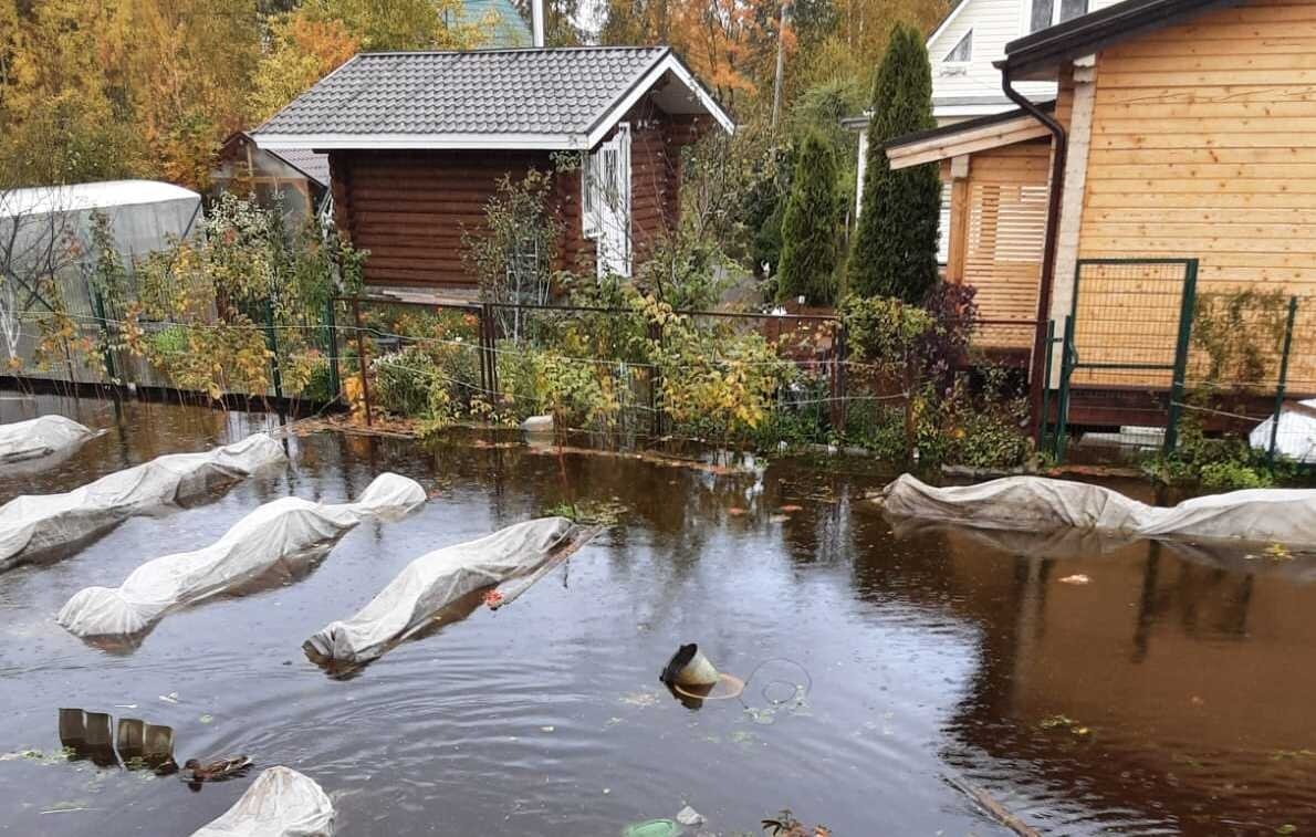    Ленинградская область, СНТ "Строитель-2"  Елена Сократова