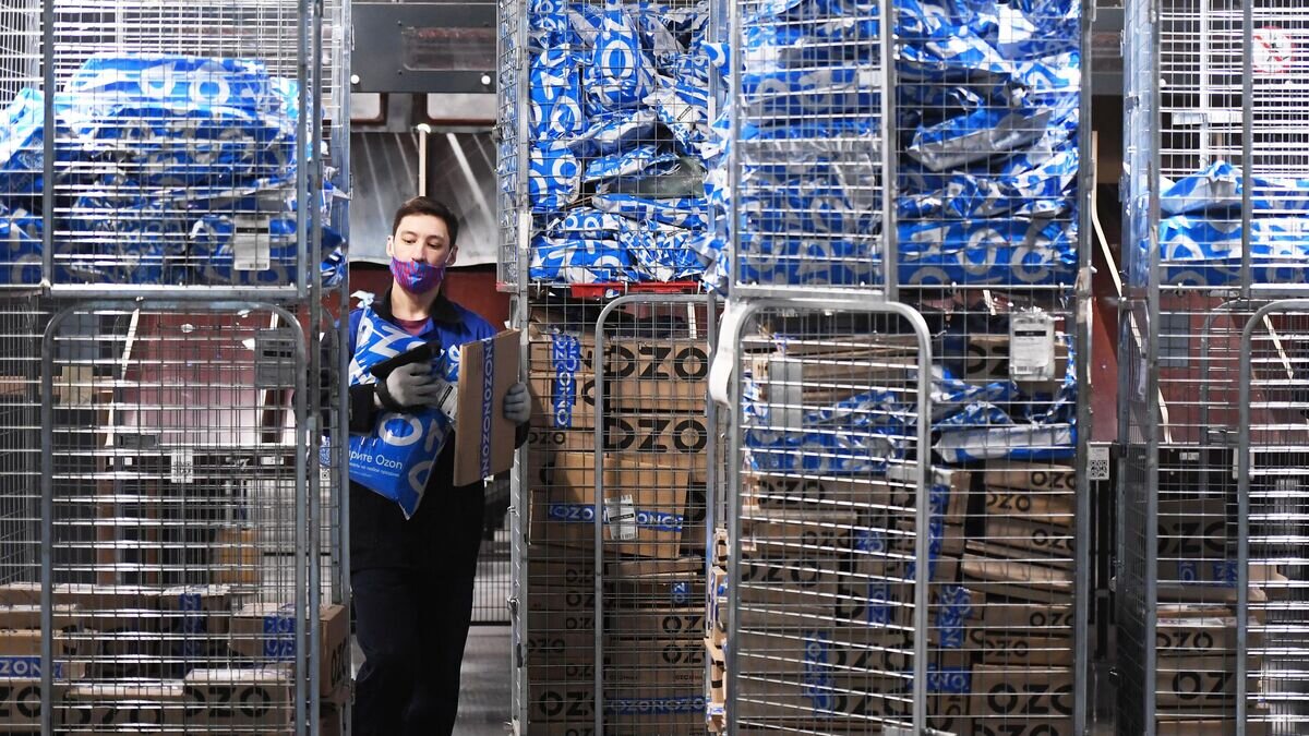    Сотрудник на складе логистического центра Ozon на территории ТОСЭР "Зеленодольск" в Казани© РИА Новости / Максим Богодвид