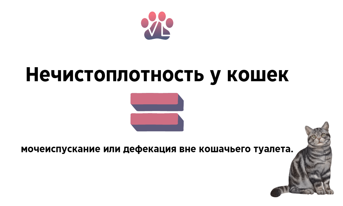 🐱Нормально ли, если кошка не ходит по-большому ежедневно (прошу отложить свои бутерброды)