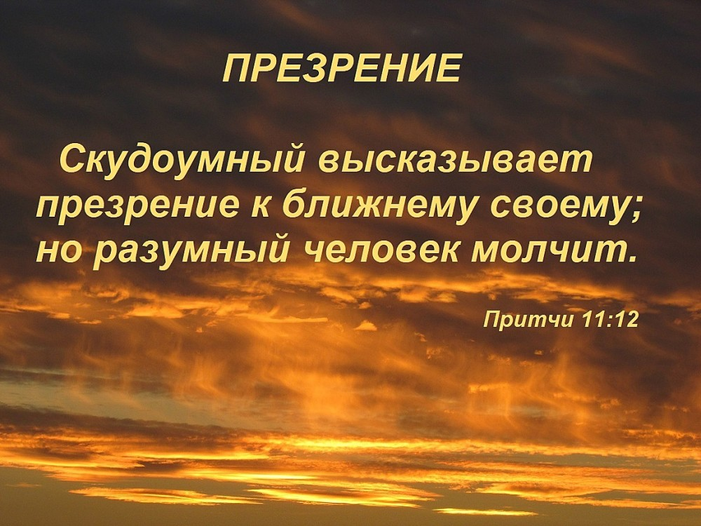 Тоже разумный. Высказывания про презрение. Статусы о презрении. Выказывает презрение к ближнему своему. Цитаты про презрение.