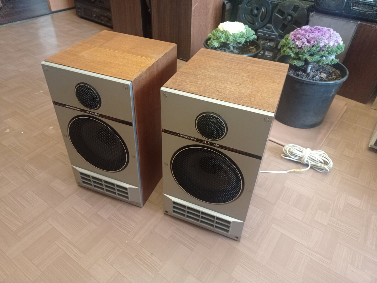 только занёс