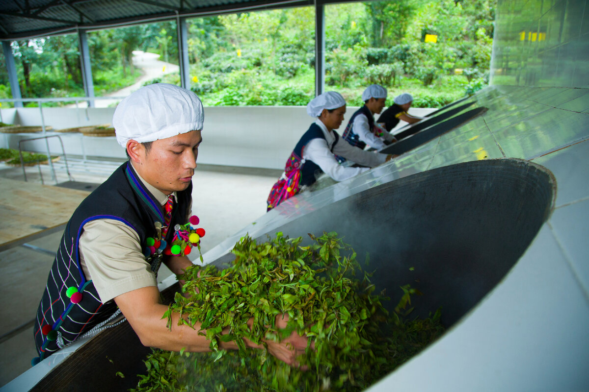 Фото принадлежат Да И: Академия китайских мастеров чая