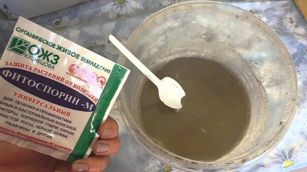 Майл. Картинки