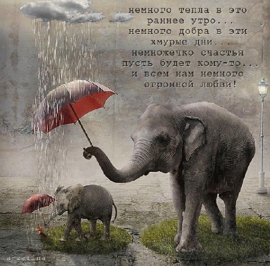 Автор:gifotkrytki.ru