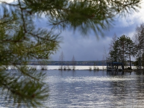   Людмила Корвякова