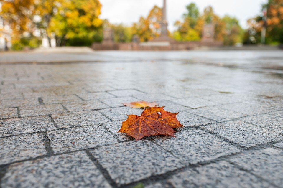     Главный синоптик Петербурга предупредил о новом похолодании Юлия ПЫХАЛОВА