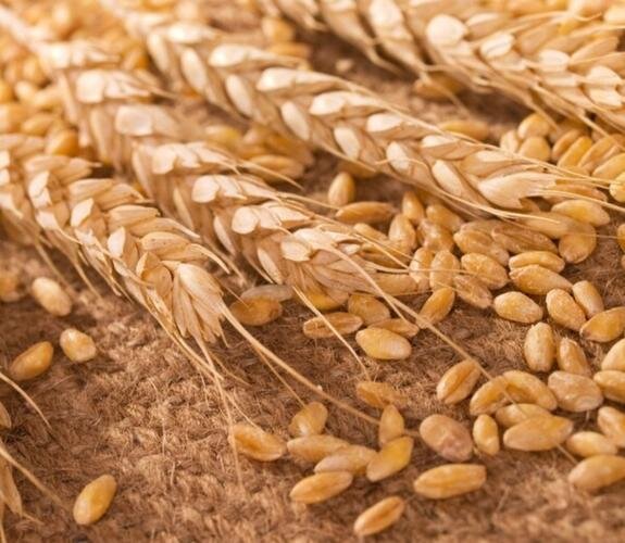    Хлеба налево, хлеба направо