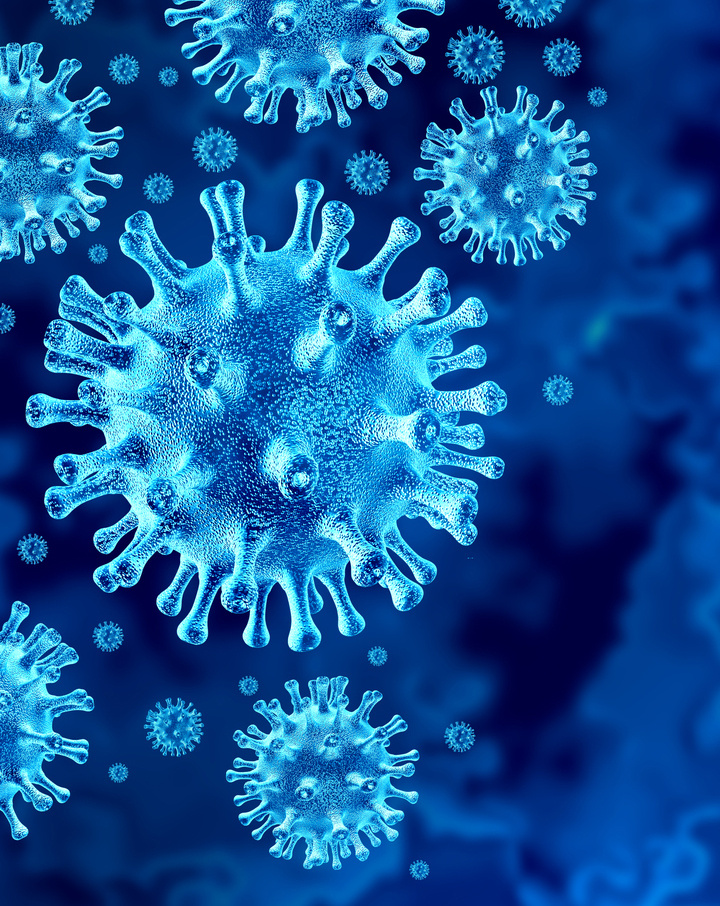 (Яндекс картинки)