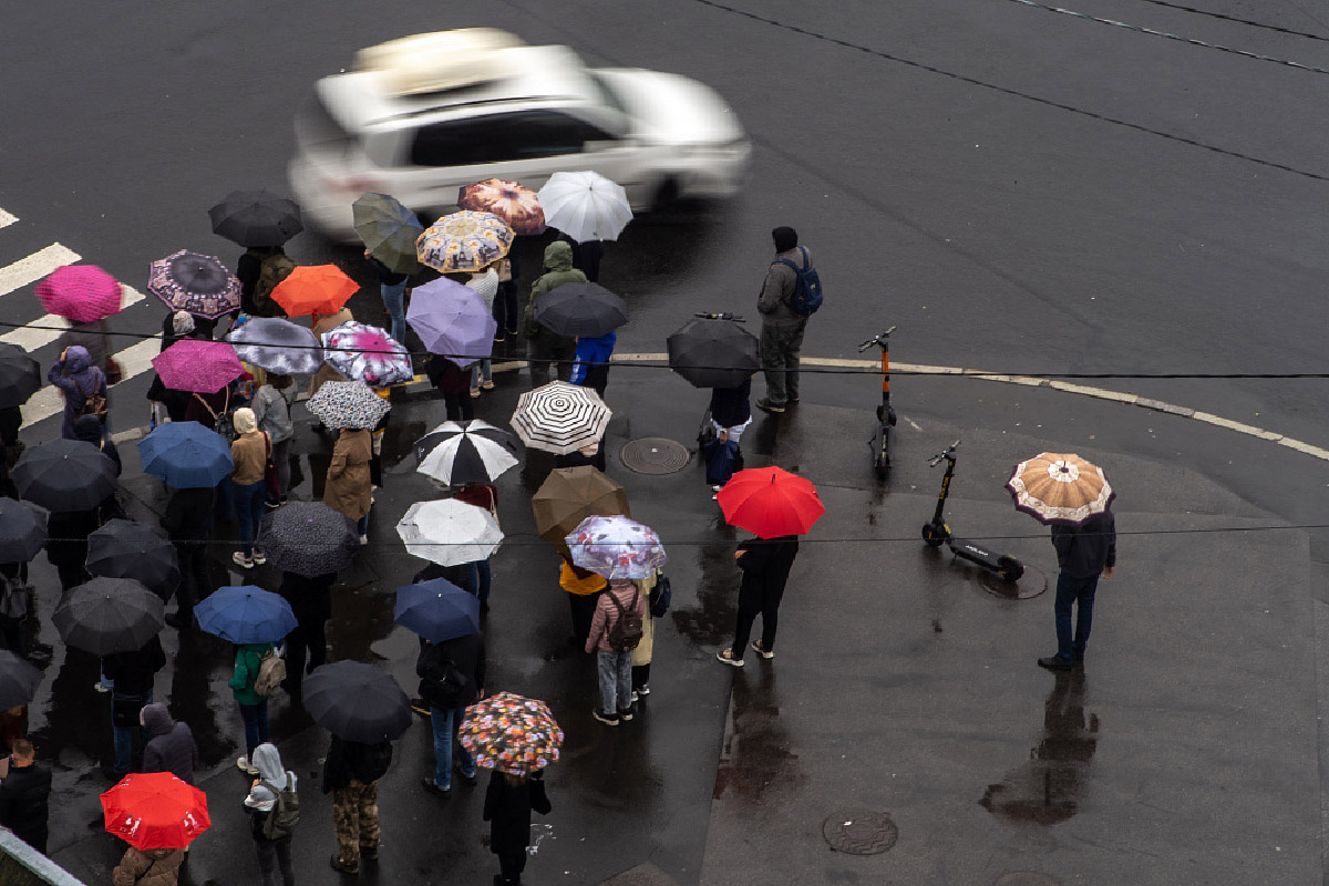   
 Фото: Михаил Огнев/архив «Фонтанки»