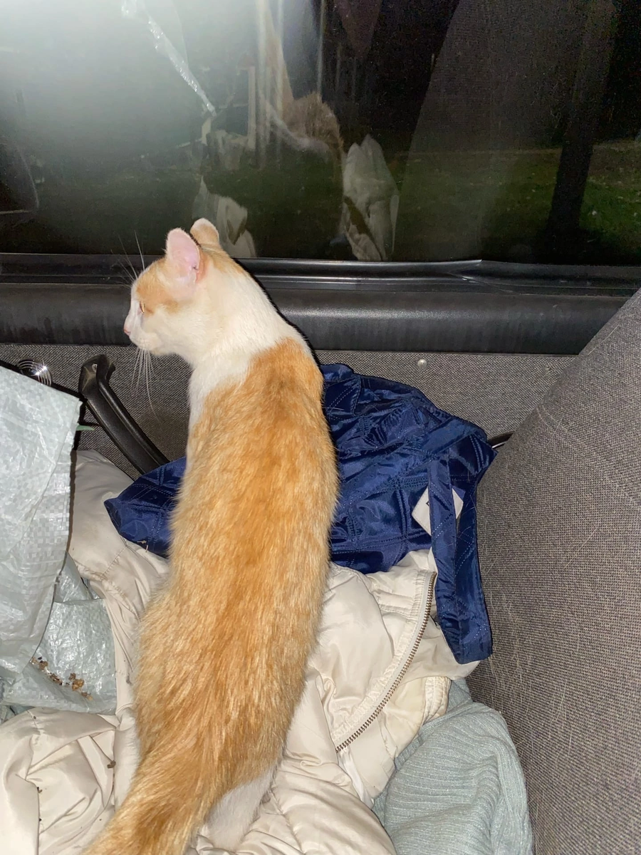 В машине ехал спокойно 