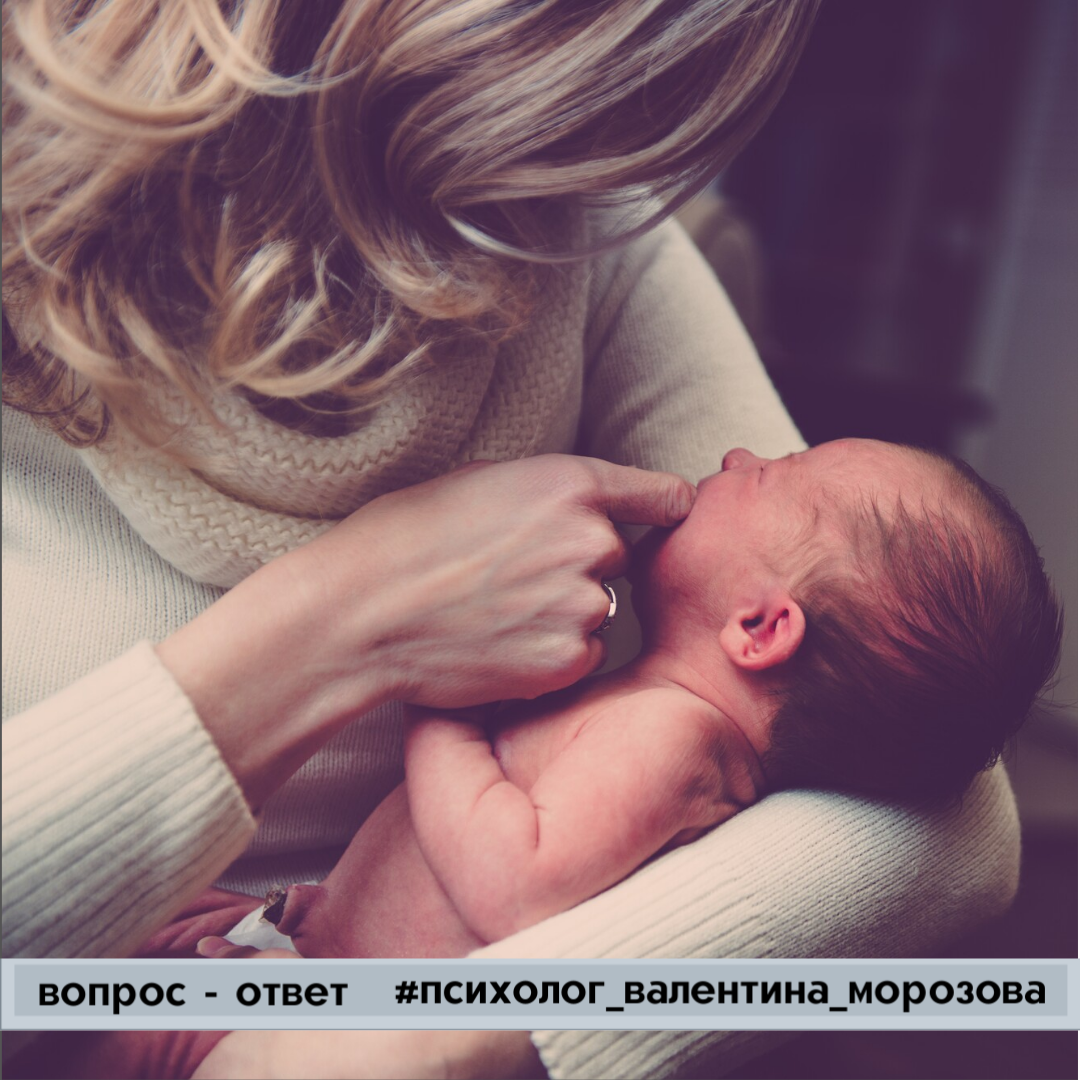 Фото взято из открытых источников