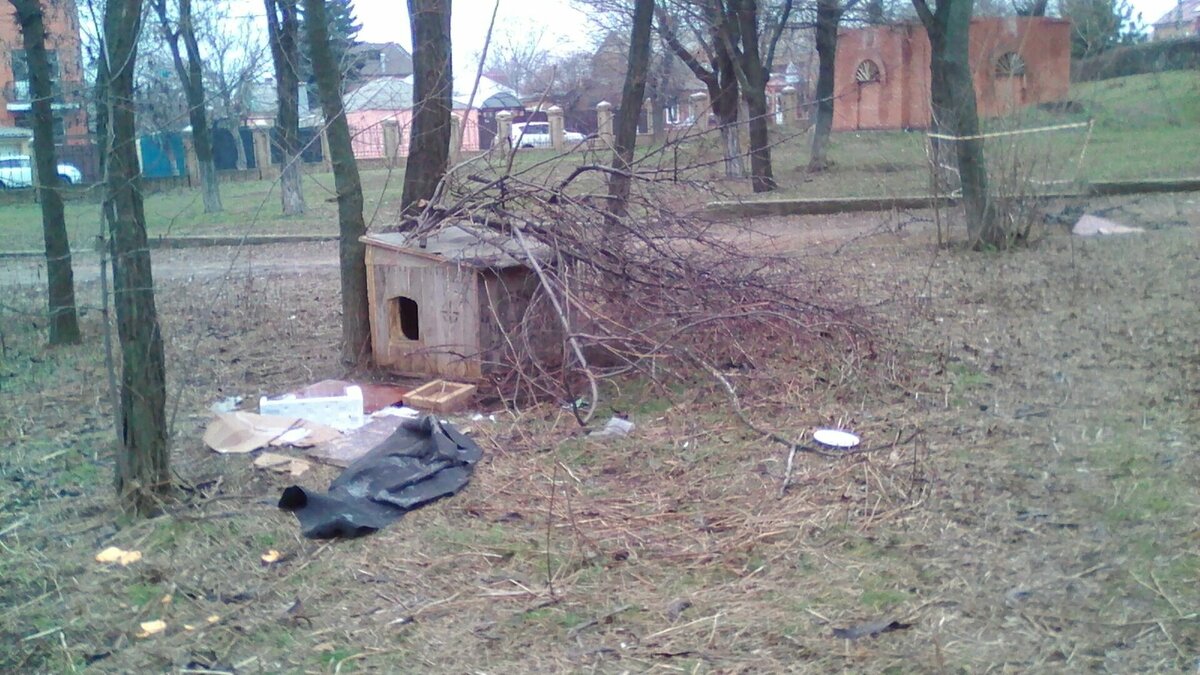     В Ростове-на-Дону благоустройство парка 8 Марта завершилось возбуждением уголовного дела, сообщил сити-менеджер Алексей Логвиненко.