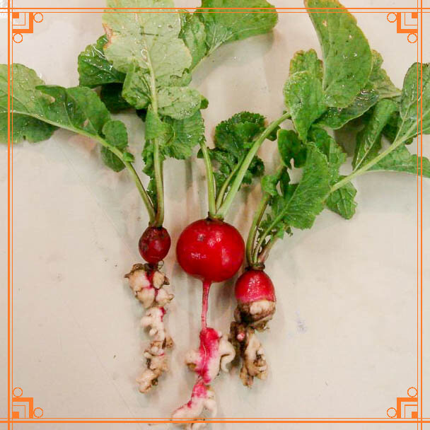 Источник фото: https://karantin.net/kila-redisa/