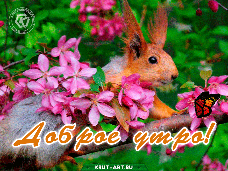 Доброе утро! Пусть этот день принесет тебе лишь хорошее настроение и бодрость духа. Наслаждайся этим днём, пусть он будет наполнен исключительно положительными эмоциями.