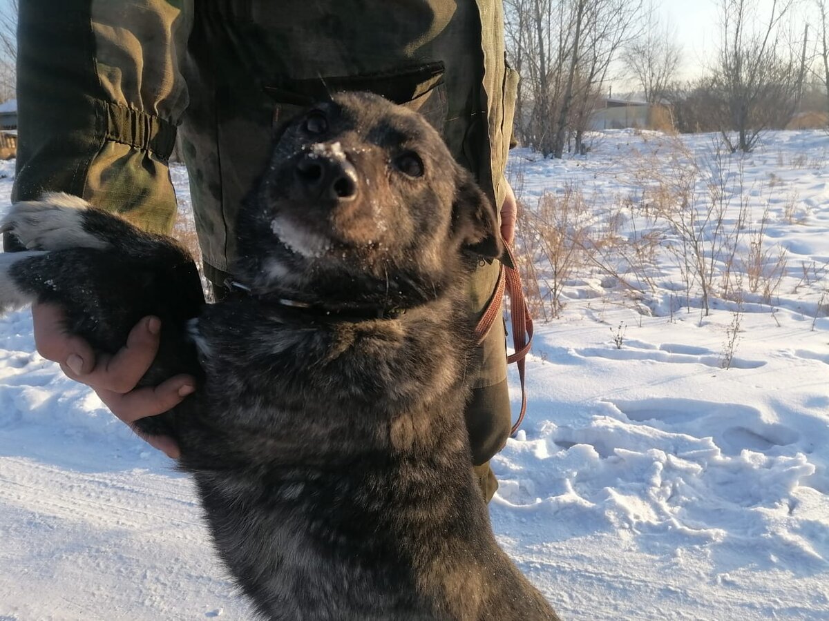 Муля сейчас.

