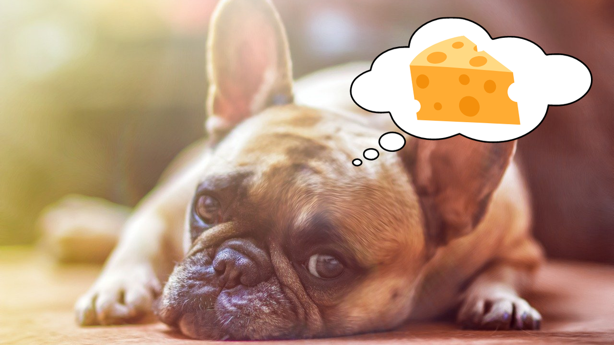 Кто же откажется от ароматного кусочка!