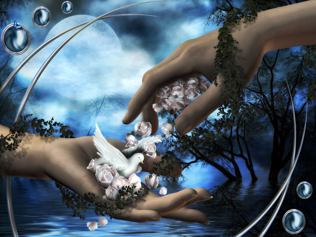 Красота отношений. Взято из свободного доступа.