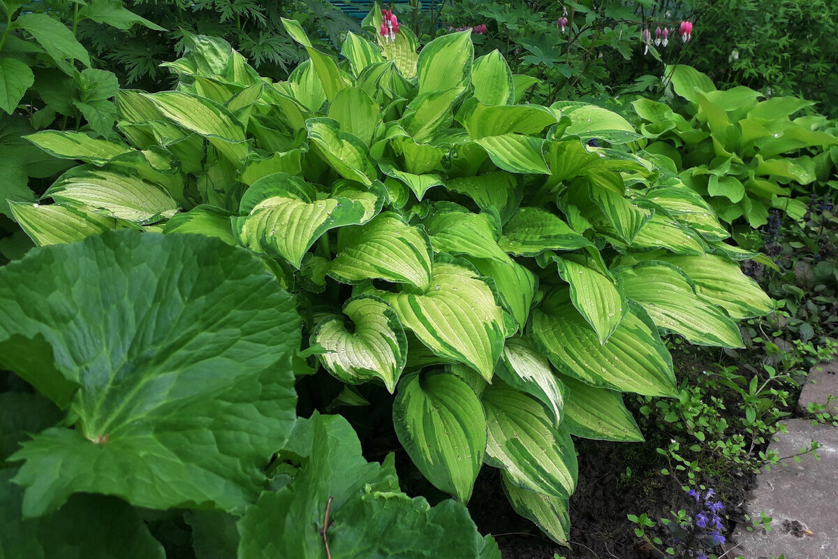 Июнь - лучший месяц года!