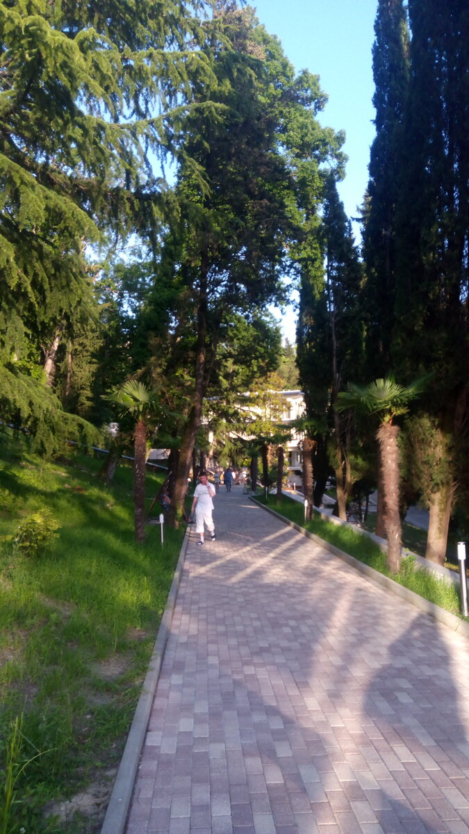 Фото автора,лето 2021 год