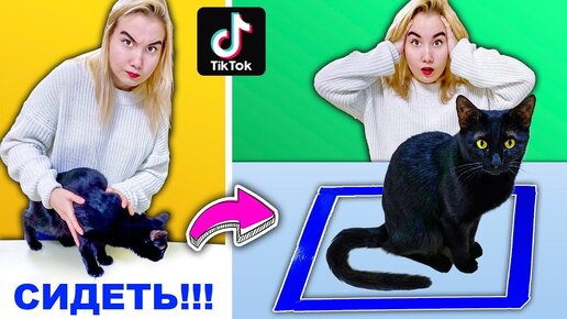 Проверили Лайфхаки ПРО Котиков Из ТИК Тока **у Нас Неправильный Кот?**