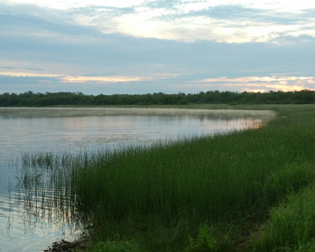 Под утро купались в реке - вода как парное молоко, и парит. Но на фото не видно пара, "сяоми" не сумел.