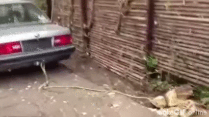 Добавьте описание