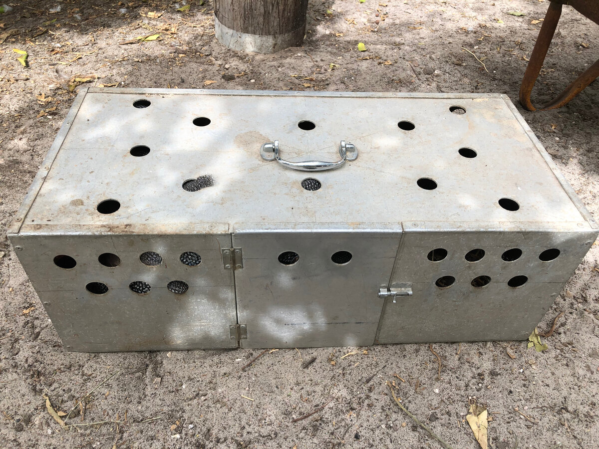 Ящик с цесарками