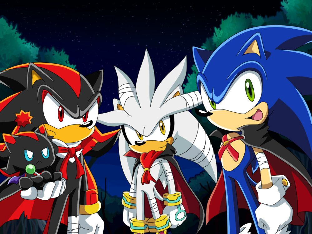 Sonic X (Sonic X Sonic X, англ. Sonic X) - анимационный сериал, созданный TMS Entertainment на основе видеоигры Sonic the Hedgehog японской компании Sega.-2