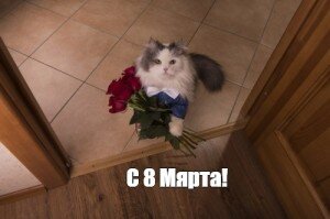 Котомярта.