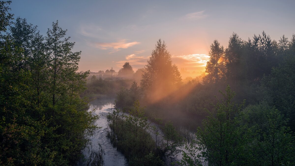 автор фото Елена Зимацкая