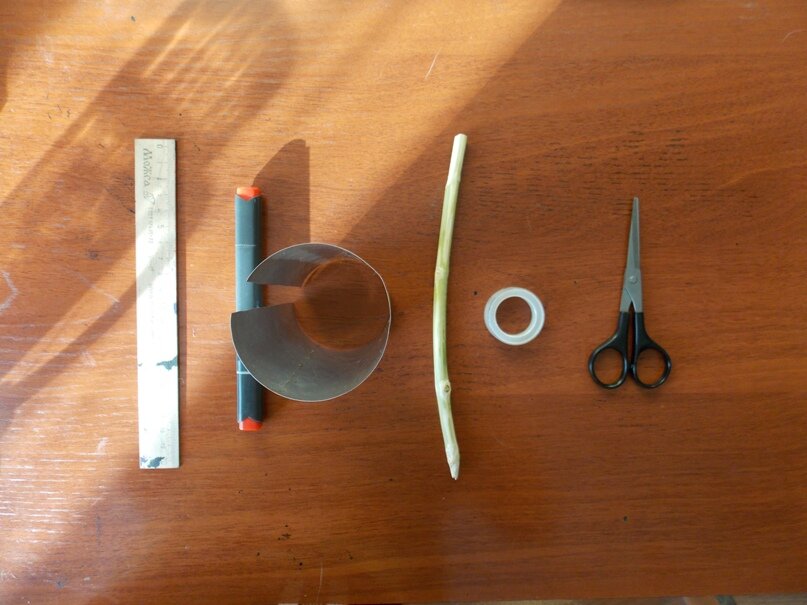 это всё, что понадобится: палка с дерева, банка со стола и канцелярия