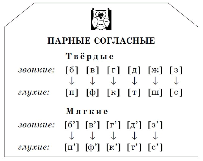 Слова «шьют» морфологический и фонетический разбор