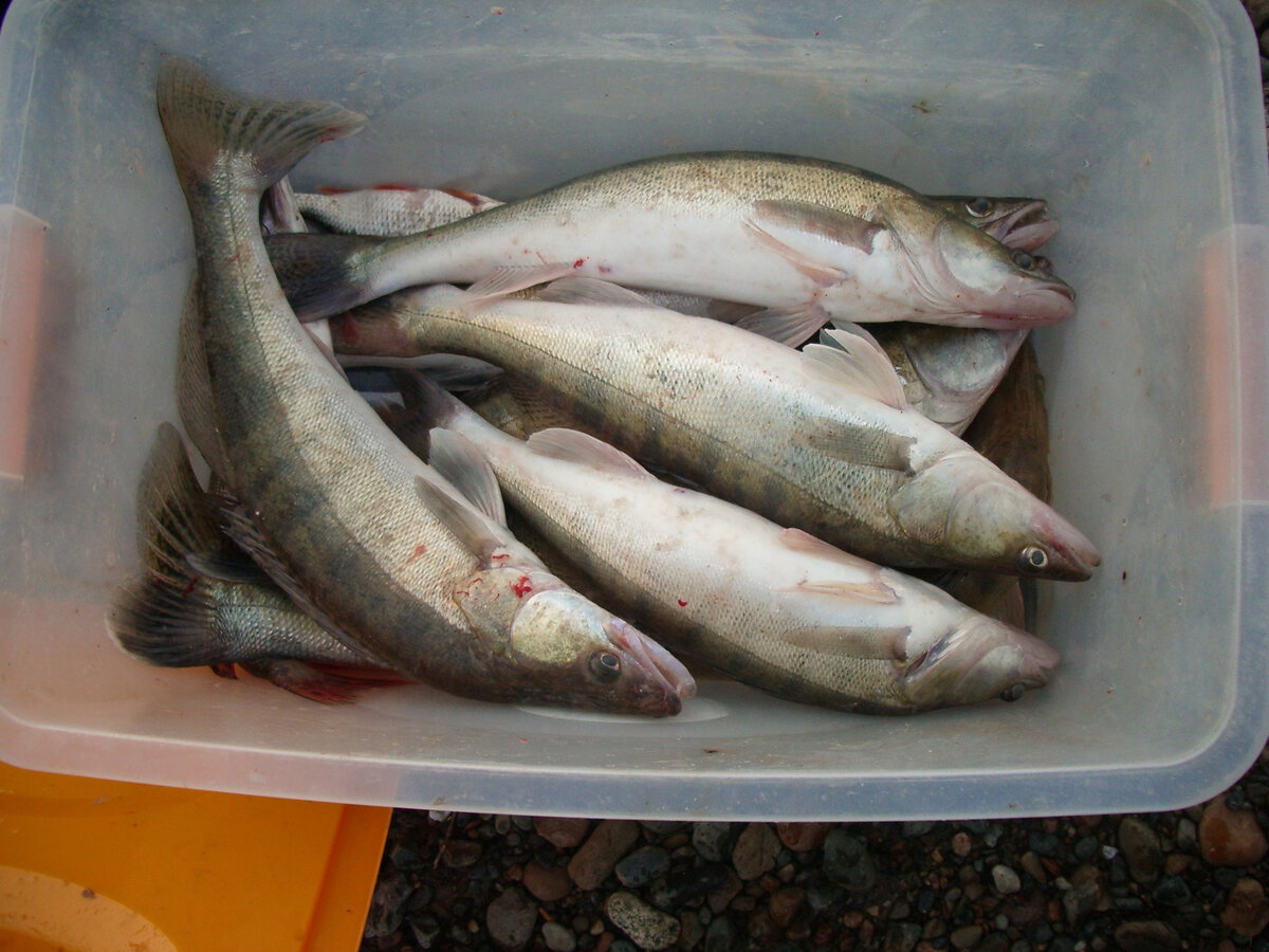 Всё сошлось