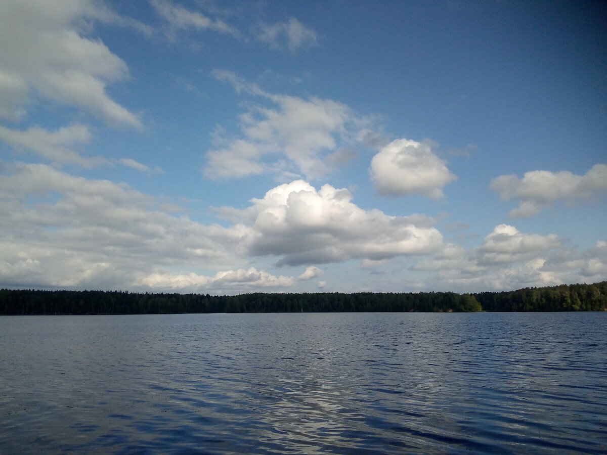 Десногорское водохранилище. (Фотограф Наталья Середа.)