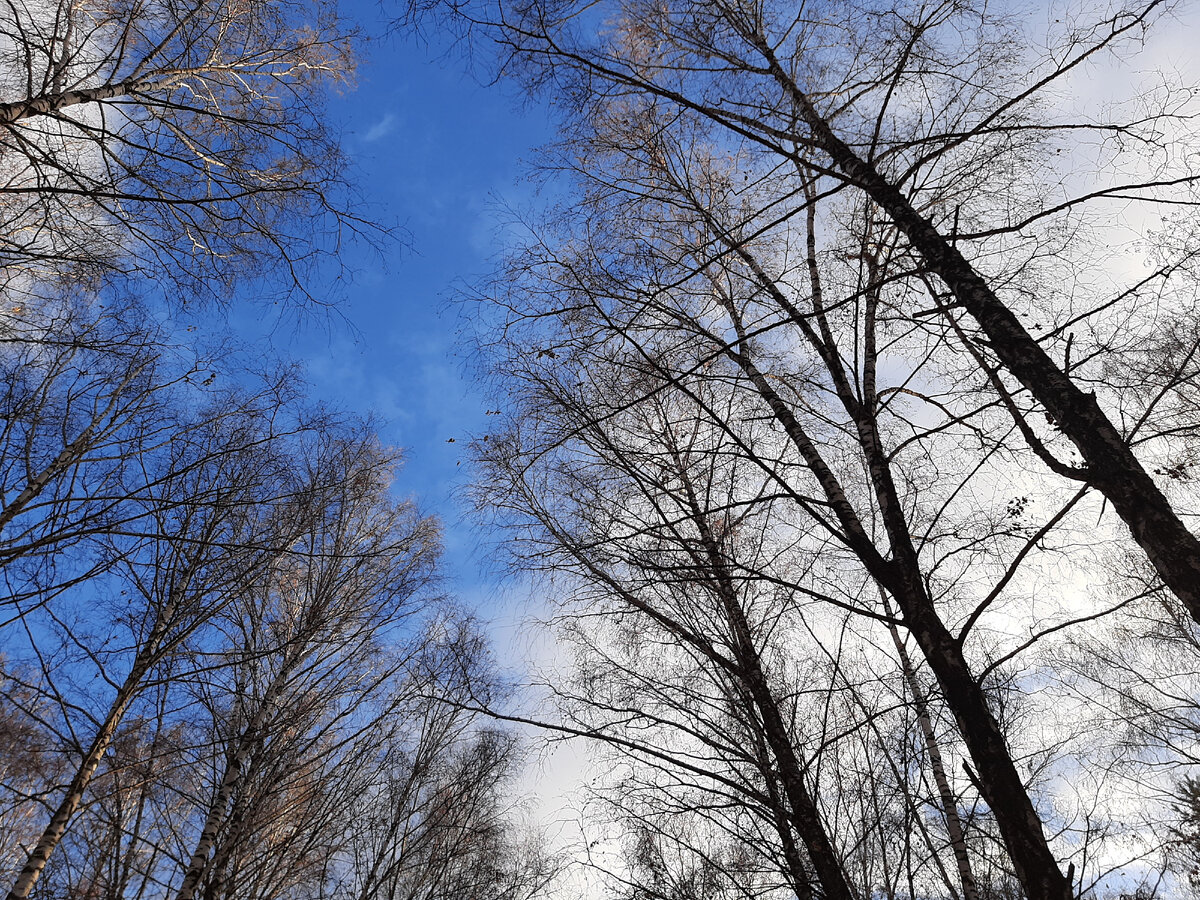 Фото из личного архива автора