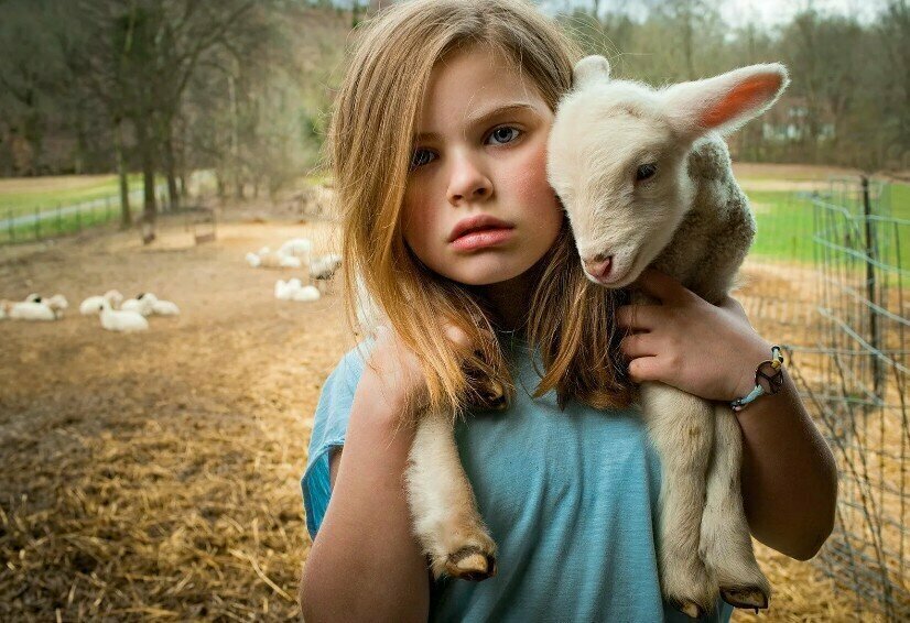 Добавьте описание