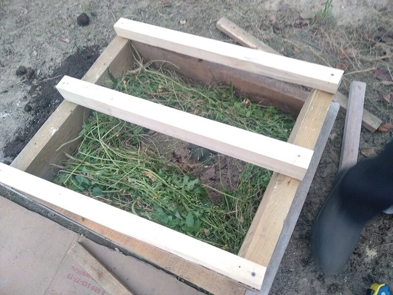 Каркас укрытия для малышки ежевики