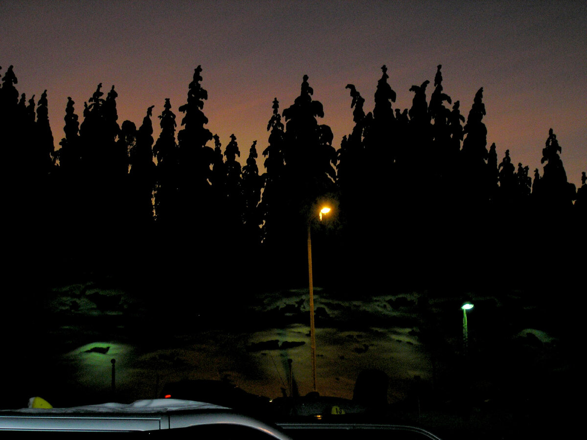 Из окна автобуса по дороге в замок. Фото автора