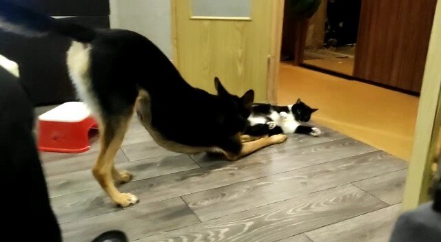 Робин и Нори