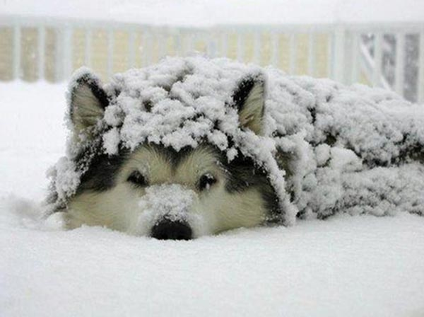 Фото для иллюстрации из asriran.com/fa/news/248415/